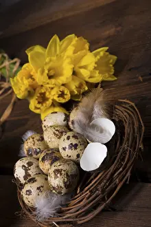 Spring Awakening Flowers Drucke: Easter eggs and daffodils