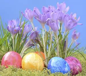 Easter Egg Tradition Drucke: Easter eggs, Easter egg, eggs, Easter