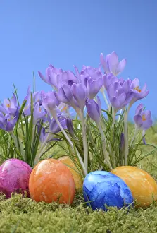 Spring Flowers Drucke: Easter eggs, Easter egg, eggs, Easter