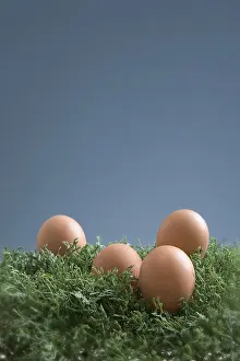 Studio Shot Of Eggs Drucke: Easter eggs in the grass