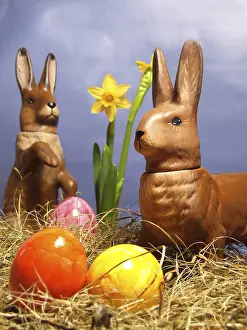 Easter Decoration Ideas Drucke: Three Easter eggs in a nest in front of daffodils with Easter bunny