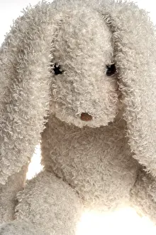 Easter Bunny Drucke: Easter rabbit