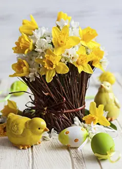 Fresh Daffodils Drucke: Easter table decoration with fresh daffodils