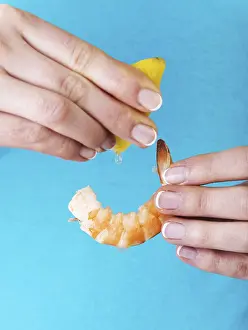 Deserted Natural Environment Drucke: Eating shrimp