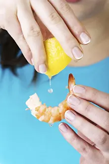 Deserted Natural Environment Drucke: Eating shrimp
