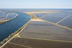 Spanish Agriculture Landscape Drucke: Ebro river and flooded rice fields in May