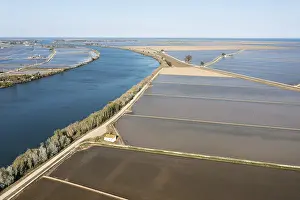 Flooded Rice Fields Spain Drucke: Ebro river and flooded rice fields in May