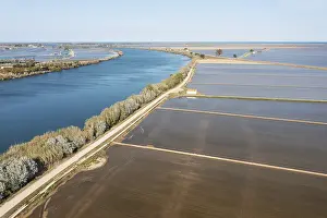 Tarragona Province Landscape Drucke: Ebro river and flooded rice fields in May