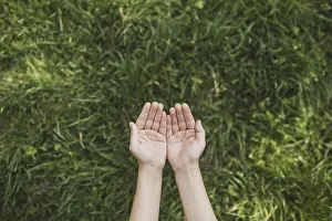 Waste Separation Drucke: Eco concept with hands