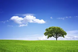 Deserted Planet Earth Drucke: Eco Planet