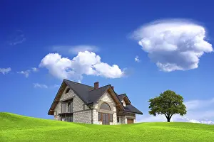Deserted Homes Drucke: Ecolife