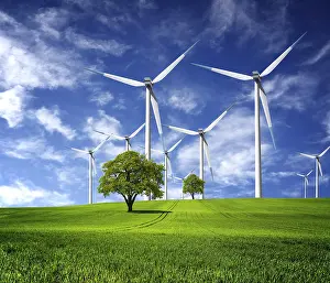 Deserted Windmill Drucke: Ecological direction