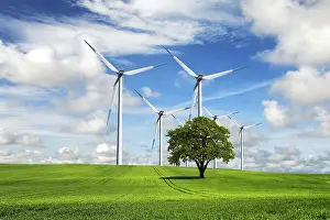 Deserted Windmill Drucke: Ecological priority