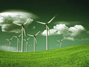 Deserted Windmill Drucke: Ecology