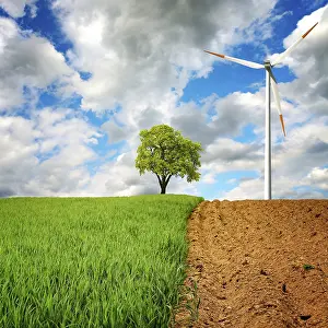 Deserted Windmill Drucke: Ecology