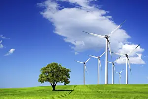 Deserted Windmill Drucke: Ecology