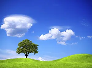 Agricultural Landscapes Drucke: Ecology and Environment