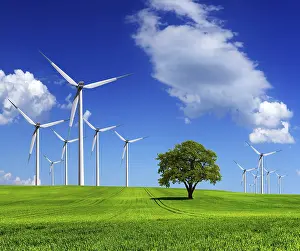 Electric Mill Station Drucke: Ecology - Wind of change