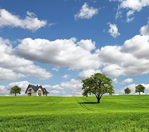 Deserted Homes For Sale Drucke: EcoRegion