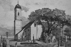Central European Trees Drucke: The Edignalinde or Millennial Lime