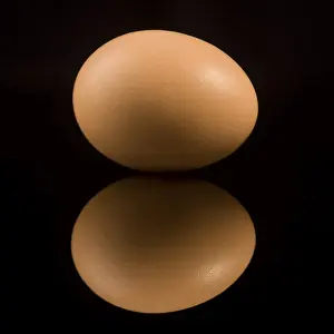 Still Life Cuisine Drucke: Egg