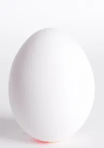 Egg Nutrition Drucke: Egg