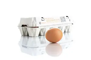 Chicken Eggs Nutrition Drucke: Egg carton with an egg