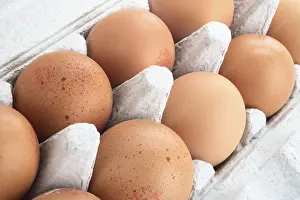 Brown Eggs Drucke: Egg carton with eggs
