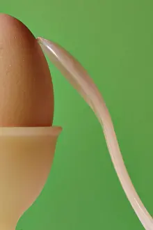 Boiled Eggs Drucke: Egg cup with eggs