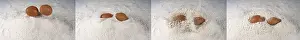 Balanced Diet Meal Planning Tips Drucke: Egg Falling into Flour against White Background