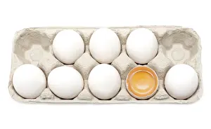 White Background Animal Photography Drucke: Egg in packing, one is, yolk in shell
