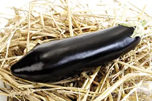Studio Vegetable Shot Drucke: Eggplant on straw