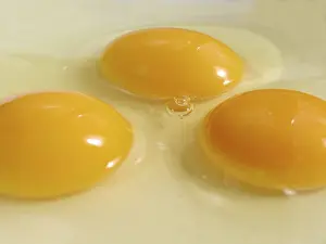 Egg Recipes Drucke: Three eggs