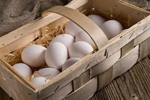 Deserted Nesting Site Drucke: Eggs in the basket