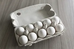 Uninhabited Desert Scene Drucke: Eggs in the box
