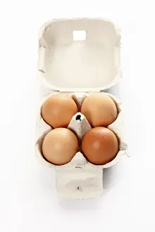 Studio Shot Of Eggs Drucke: Four eggs in a cardboard box