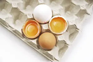 White Eggs Drucke: Eggs in a carton