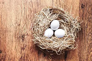 Easter Eggs Drucke: Eggs in a nest, easter composition