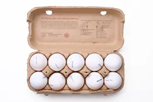 Grocery Store Eggs Drucke: Ten eggs in an open carton