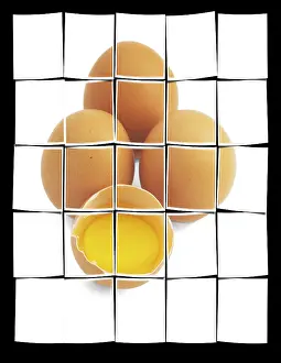 Plain Colored Background Eggs Drucke: Four eggs, one open, isolated on white background