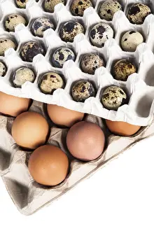 Plain Colored Background For Text Drucke: Eggs in the package on a white background