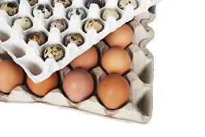 White Background Packaging Drucke: Eggs in the package on a white background