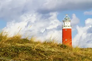 Texel Lighthouse Drucke: Eierland Lighthouse with dunes