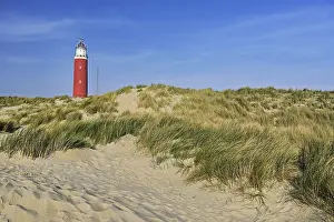 De Cocksdorp Landscape Drucke: Eierland lighthouse with dunes