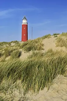Lighthouse On Texel Island Drucke: Eierland lighthouse with dunes