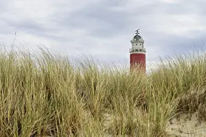 Eierland Lighthouse Drucke: Eierland lighthouse with dunes