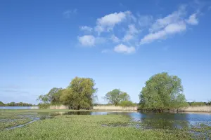 UNESCO Biosphere Reserve Drucke: Elbe meadows, floodplain landscape