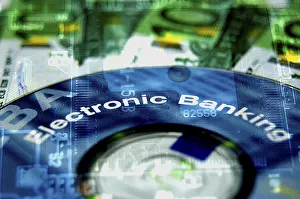 Capital Market Trends Drucke: Electronic Banking