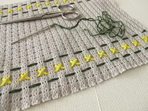 Handicraft Embroidery Patterns Drucke: Embroidery pattern on canvas