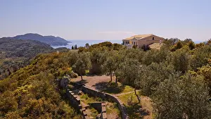 Deserted Mansion Europe Drucke: Emperor's thrones, villa, olive trees